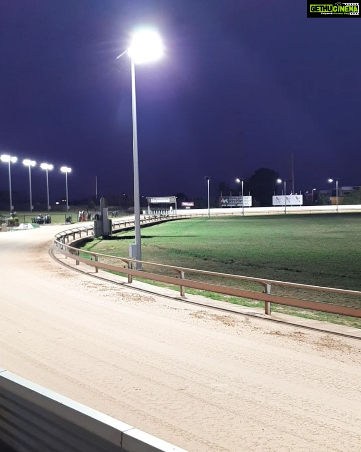 Mona Singh Instagram - At the Greyhound racing.. #perth #Australia #fastdogs #runners #athletes Greyhounds WA