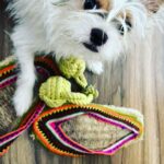 Mona Singh Instagram - Hellooo weekend #morningvibes #wakeup #saturday #letsplay #mylilbaby #puppylove