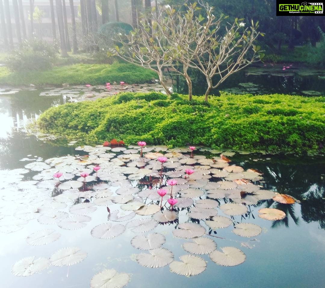 Mona Singh Instagram - blisssss....... view from my room #peace #lotus #divineplan #beauty #nature #travel #earlymorning #sunrise #instagood #instapic
