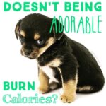 Mona Singh Instagram - How i wish...... #wicked #wishes #cuteness #calories #awww #whatever #hehaw #insta #addicted