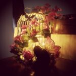 Mona Singh Instagram - #myfavlamp #angels #cage #flowerstagram #lighting #butterflies #myhome #paradise