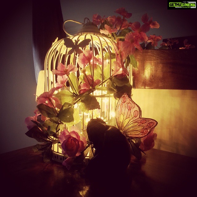 Mona Singh Instagram - #myfavlamp #angels #cage #flowerstagram #lighting #butterflies #myhome #paradise
