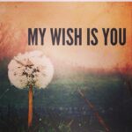 Mona Singh Instagram – #wishlist #wishesdocometrue #angels #dreamcatcher #daydreaming #loveit #life #fulfilling #colors #rainbow #sunshine #happydance #bless