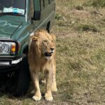 Nakshathra Nagesh Instagram - #MasaiMara never disappoints you ❤️ the moment we entered this is what we were told and it was true! #MagicalKenya @pickyourtrail @sarova_hotels #NakshathraInKenya #TheSarovaExperience #SarovaCares #PickyourTrail #UnwrapTheWorld