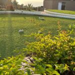 Neha Sharma Instagram - 🏖️💫💕👙