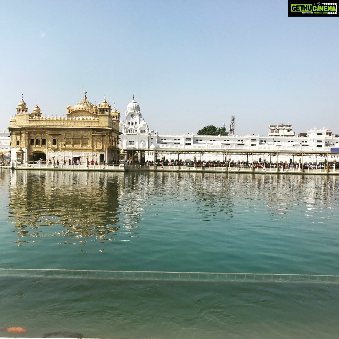 Nikita Dutta Instagram - Only being present here can make you understand how blessed you feel at the golden temple. Satnaam shriwaheguruji ๐ Golden Temple เจถเฉเจฐเฉ เจนเจฐเจฟเจฎเฉฐเจฆเจฐ เจธเจพเจนเจฟเจฌ