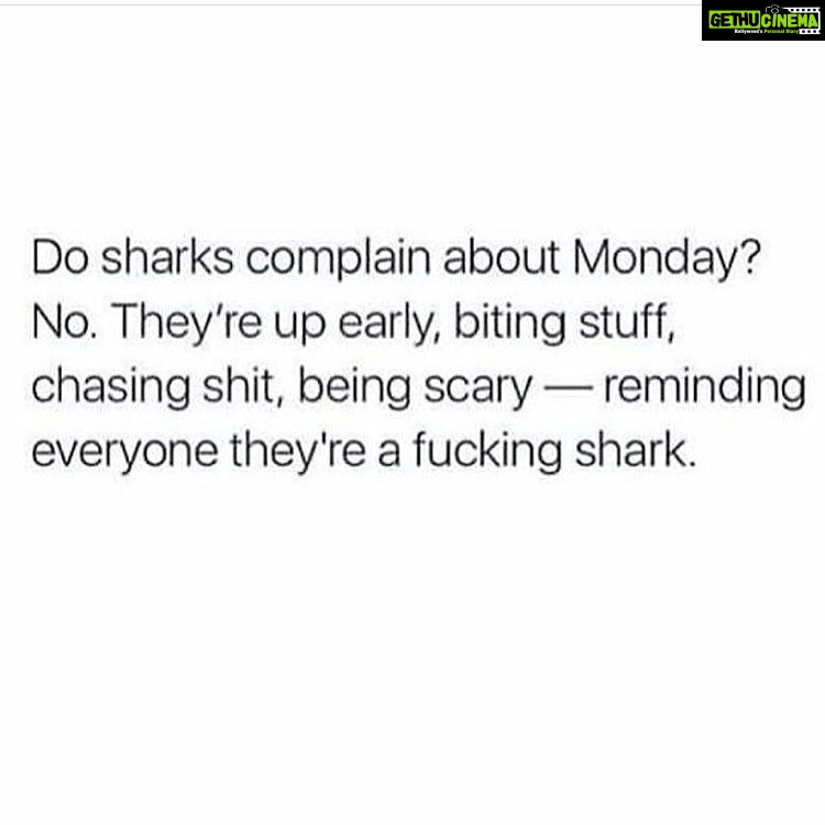 Nikita Dutta Instagram - Best Monday motivation! 😂 #LetsBeAShark Hyatt Regency, Manesar