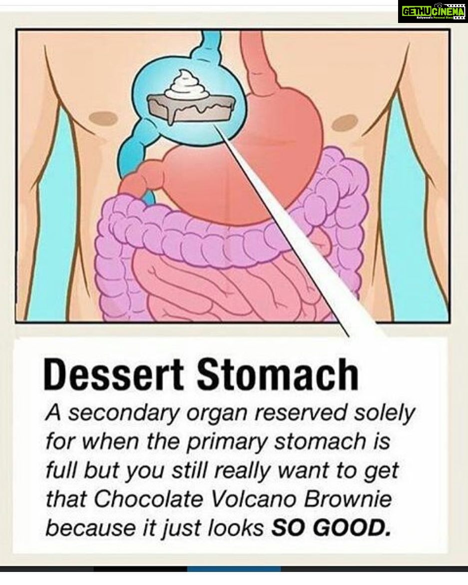 Nikita Dutta Instagram - I think my dessert stomach is bigger then the normal one! #Repost #SweetToothForever @aditishah21 @prachi_rai @vazda.m @aayushmatibhava @mishraprachi @zoyaafroz @sagarika030689 @manasi_moghe @vanyaa27 S J Studio
