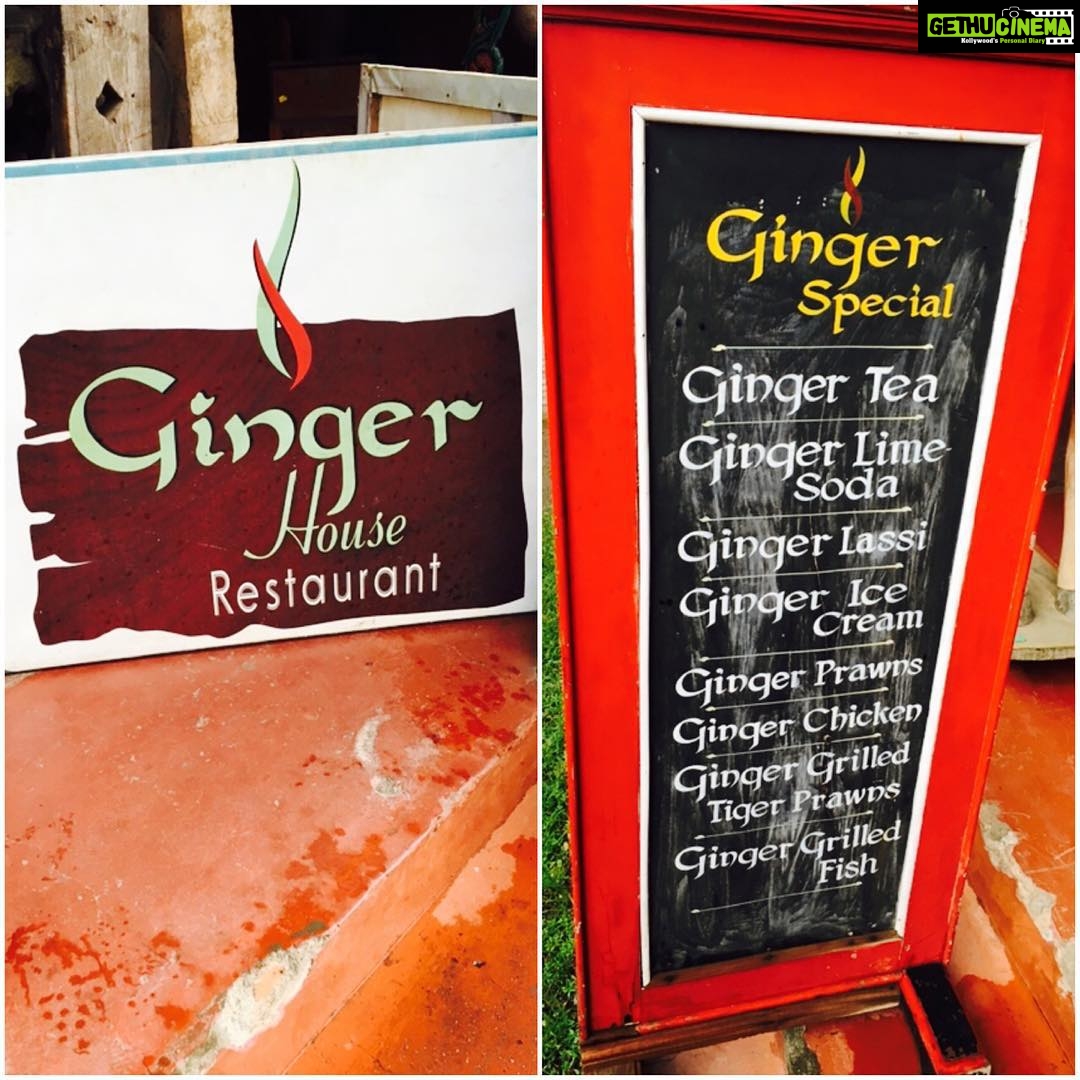 Nikita Dutta Instagram - Something different! #Gingerness #FleaMarket #KochiDiaries Jew Town