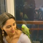 Nikita Dutta Instagram - 🦜 🦜 Brought in the new year with Mithu last night! He was a little scared because of the noise of crackers. :( . #HappyNewYear. 😇🙏