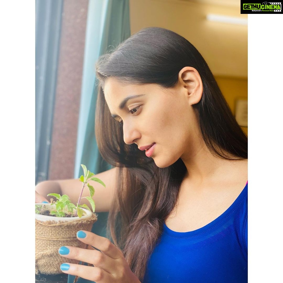 Nikita Dutta Instagram - #Tulsi . Grew this little immunity booster in my quarantine period. . 🍃🌱🪴