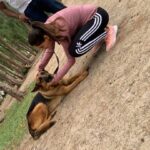 Nikita Dutta Instagram - For anyone who is aware of my equation with dogs, this progress wasn’t easy 🤭🤭 #AlwaysAFirstTime