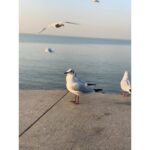 Nikita Dutta Instagram - Last Sunday of the year done well. See you next year. #DecemberRituals #CoffeeAndRun #10kMornings Marine Drive Mumbai