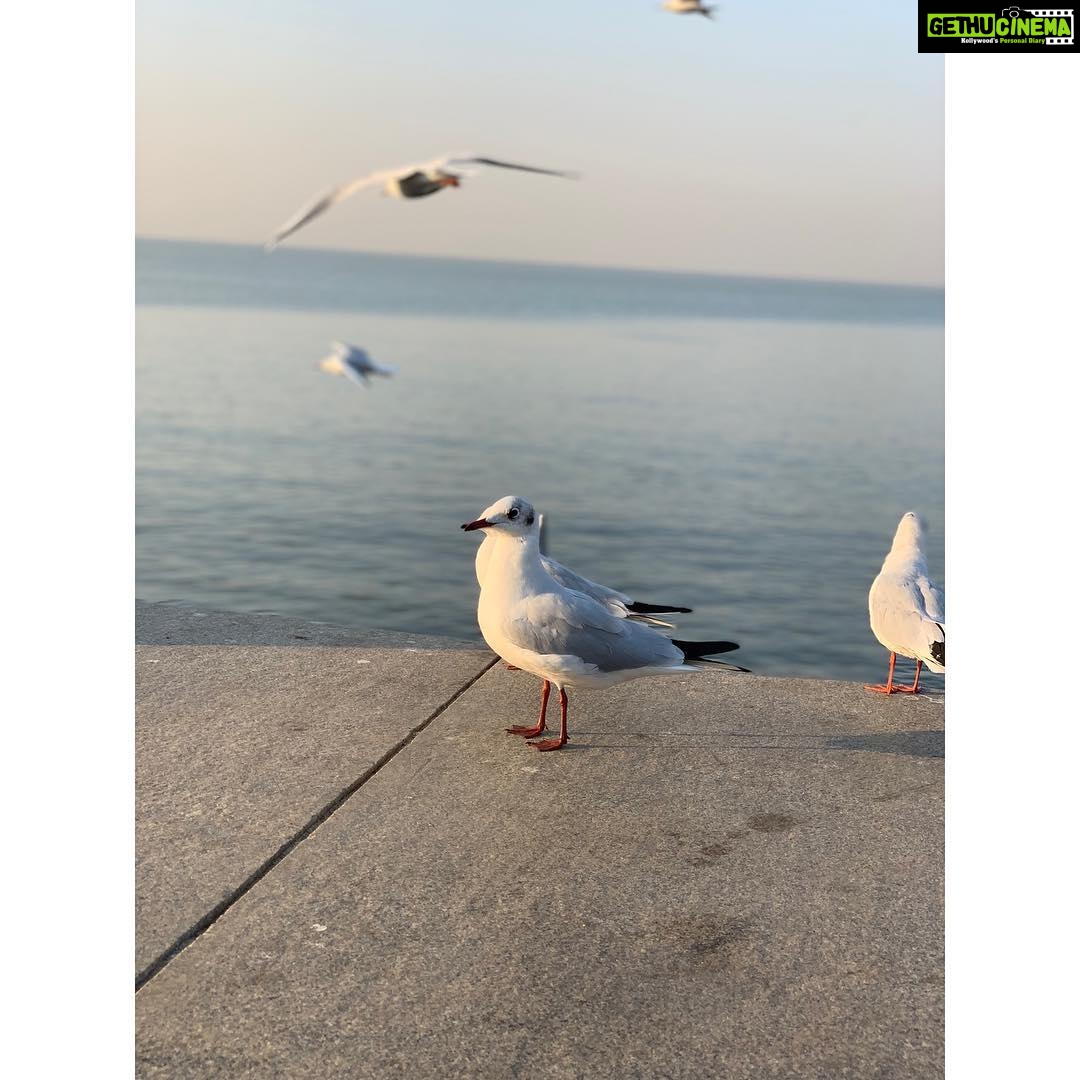 Nikita Dutta Instagram - Last Sunday of the year done well. See you next year. #DecemberRituals #CoffeeAndRun #10kMornings Marine Drive Mumbai