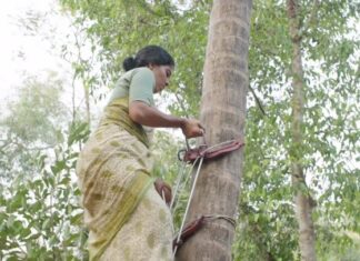 Nivin Pauly Instagram - Puppamma reaching for the stars ✨ #padavettu