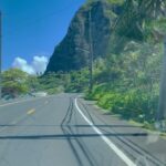 Pooja Kumar Instagram – Our drive everyday from north shore to the city of #honolulu. One side ocean and one side mountain. #motherearth is so beautiful! #hawaii #oahu #honolulu #northshore #america #india #tamil #telugu #hindi
