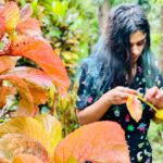 Pranati Rai Prakash Instagram - A little to experience and learn everywhere 🍃🌊⛅️ Goa