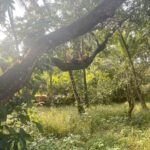 Pranati Rai Prakash Instagram - A little to experience and learn everywhere 🍃🌊⛅️ Goa