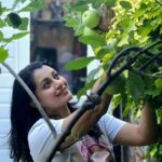 Reenu Mathews Instagram - Handpicked green apples for Breakfast 💚 London, United Kingdom