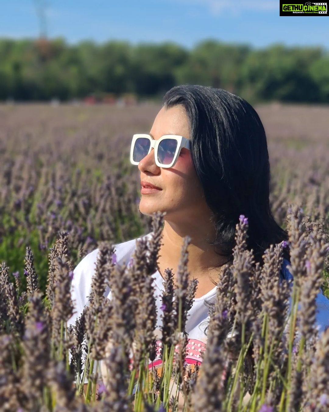Reenu Mathews Instagram - In dreams of Lavendar fields is where you will find me 💕 . . #mayfieldslavenderfarm #mayfieldlavender #lavenderfields #naturelove Mayfield Lavender Field