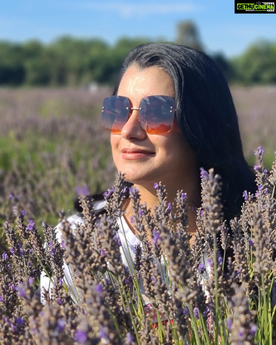 Reenu Mathews Instagram - In dreams of Lavendar fields is where you will find me 💕 . . #mayfieldslavenderfarm #mayfieldlavender #lavenderfields #naturelove Mayfield Lavender Field