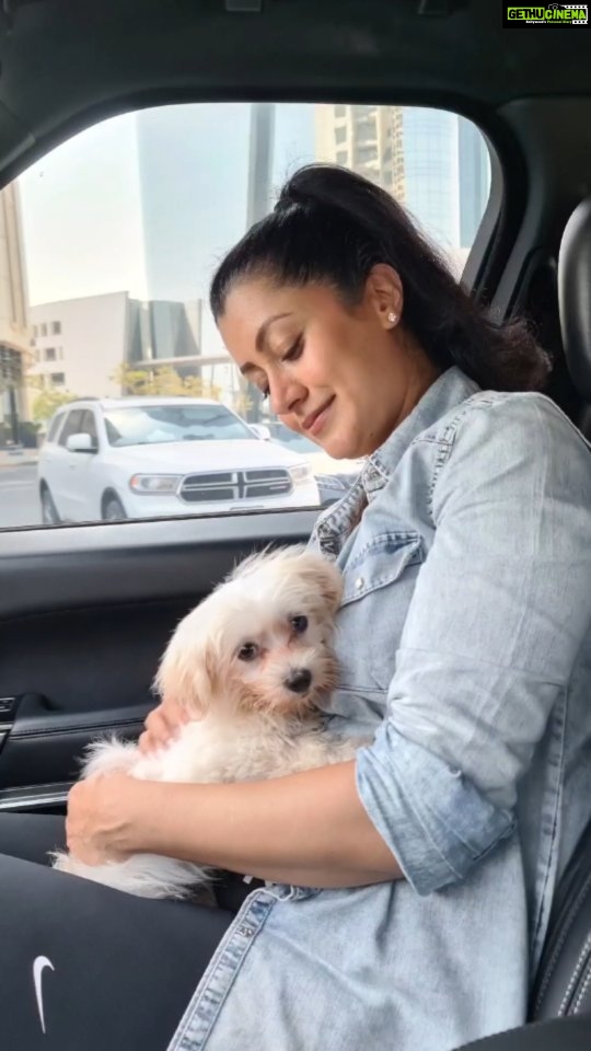 Reenu Mathews Instagram - Mochi ❤️ . . #puppyreels #puppylove #puppiesofinstagram #reelswithreenu #instaviralvideo