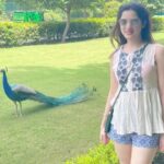 Richa Panai Instagram – Found my perfect place and song!🦚🦚 Rambagh Palace