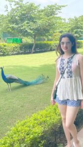 Richa Panai Instagram - Found my perfect place and song!🦚🦚 Rambagh Palace