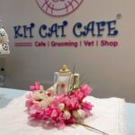 Richa Panai Instagram - Our first Ganpati at @kitcat.cafe 🙏🏻🌸 #ganpatibappamorya #happyganeshchaturthi