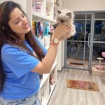 Richa Panai Instagram - My work day looks like this these days!💙🧿 #teddy #mybaby #kitcatcafe #internationalcatday