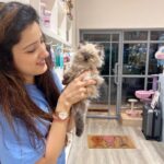 Richa Panai Instagram - My work day looks like this these days!💙🧿 #teddy #mybaby #kitcatcafe #internationalcatday