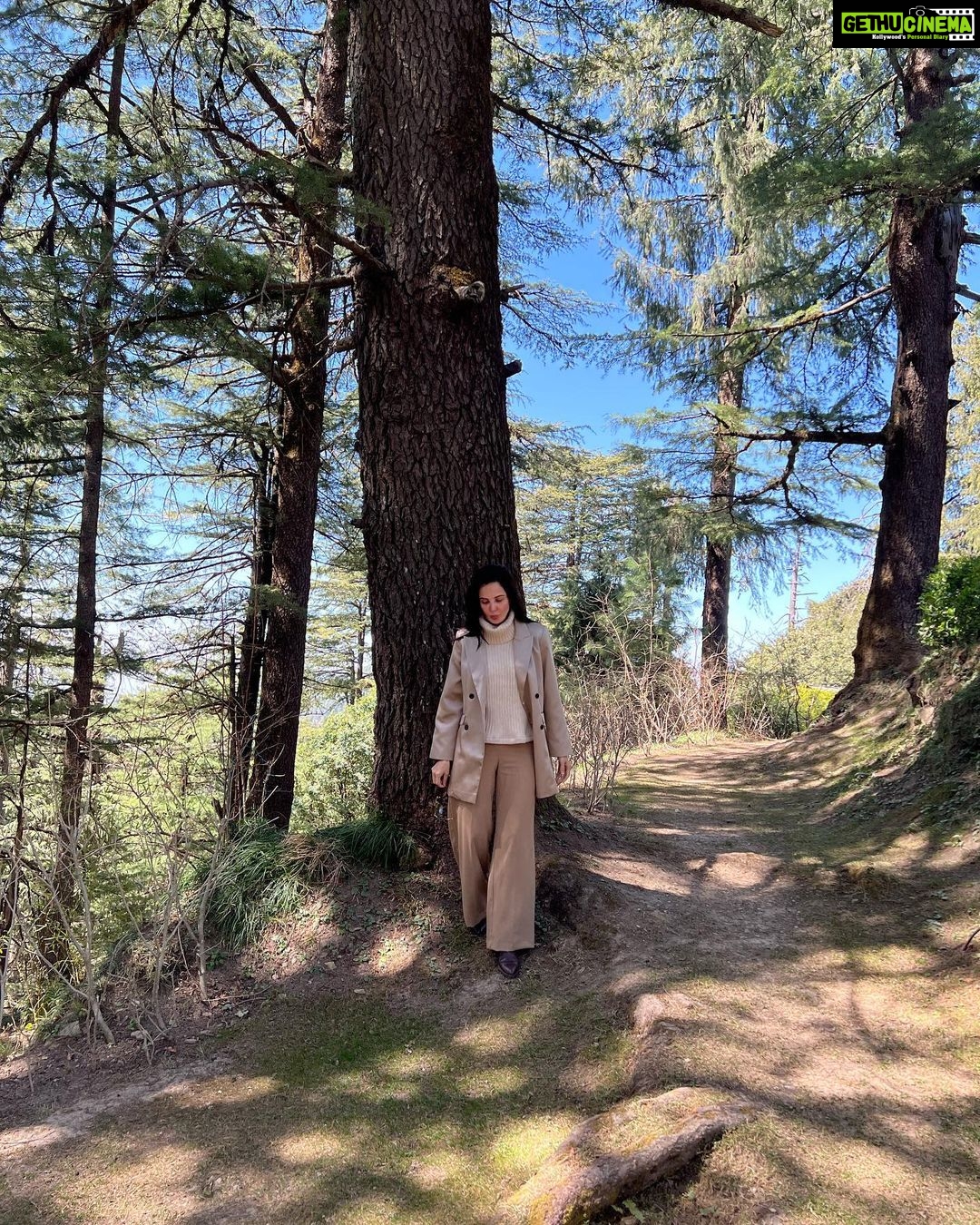 Rukhsar Instagram - Winter is gone. And the leaves are green. . . #shimla