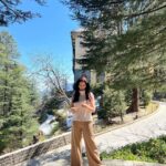 Rukhsar Instagram – Winter is gone.
And the leaves are green.
.
.
#shimla