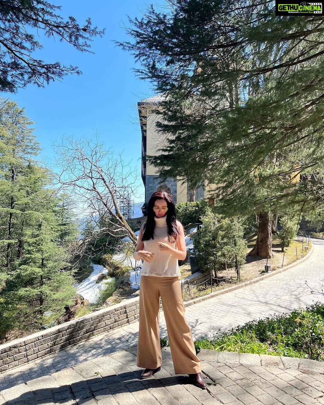 Rukhsar Instagram - Winter is gone. And the leaves are green. . . #shimla