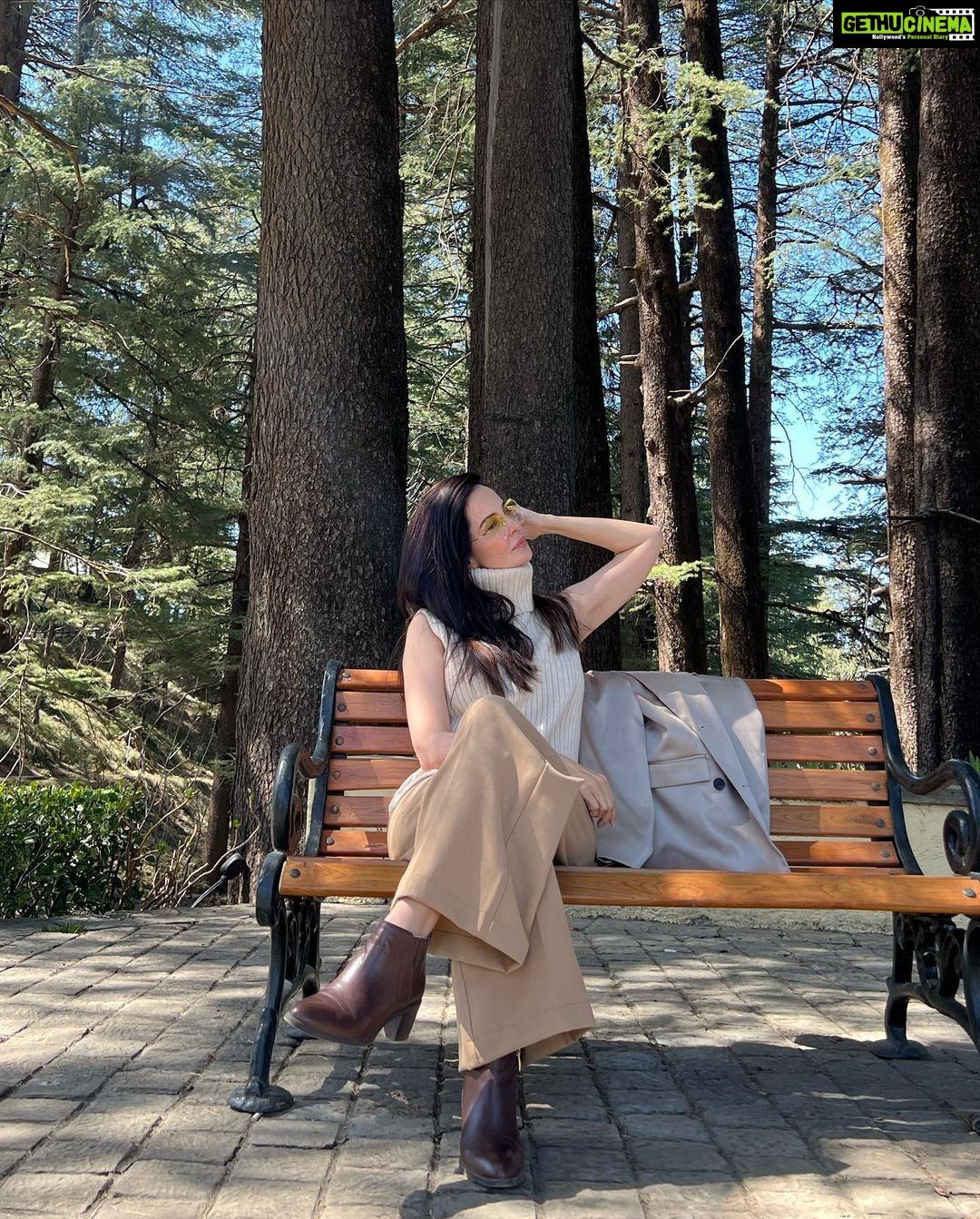 Rukhsar Instagram - Winter is gone. And the leaves are green. . . #shimla
