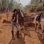 Saiee Manjrekar Instagram - mandatory horse post 👀