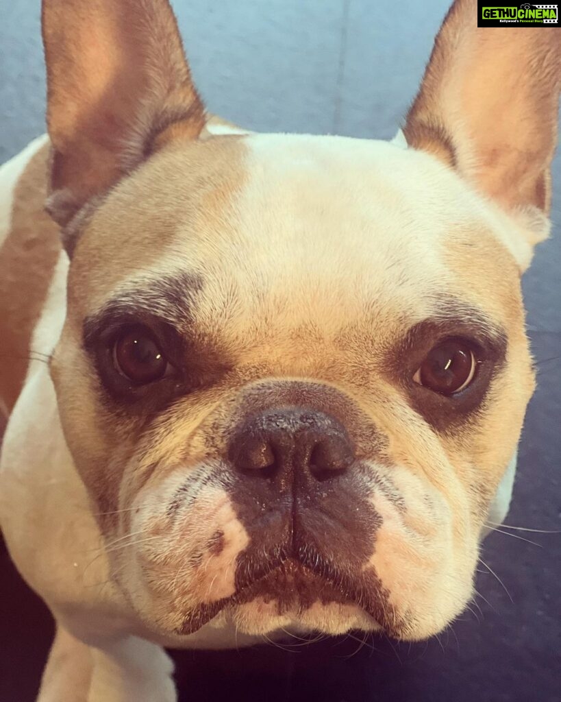 Samantha Instagram - This face ♥️