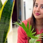 Sanjjanaa Instagram - Hi so I have a confession to make I am a complete #plantlover and a #plantmaniac , In the midst of my pregnancy and Covid I developed this fetish for beautiful #exoticplants , And attracted friends who have the same fetist as i met @vinayak_garg .. he is also a founder of #lazygardener . I call him my guru when it comes to #plants , also in this brutal world and Kaliyuga I realised investing emotions & falling in love with pet animals and in plants .. Is much more worthy than selfish friends and selfish people who are out there with agendas to use people .. I would want you to check out all urban gardening hacks and products by @lazygardener.in … and shop from them & be more #vocalforlocal brands in our country ❤️ Also check out my blog on YouTube how I take care of my plants and make my #plants glow ❤️ Karnataka, Bangalore