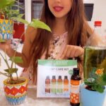 Sanjjanaa Instagram - #ad @lazygardener.in , Chq out there collection of , organic liquid fertilisers , bloom sticks , grow bags ., pretty ceramic pots and what not .. these are a fantastic replacement for plastic pots .. Enjoy new modern age gardening hacks by @vinayak_garg the founder him self . #plantlover #plantblogger #sanjjanaa #princealarik Karnataka, Bangalore