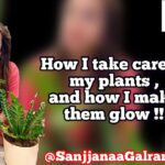 Sanjjanaa Instagram - Hi so I have a confession to make I am a complete #plantlover and a #plantmaniac , In the midst of my pregnancy and Covid I developed this fetish for beautiful #exoticplants , And attracted friends who have the same fetist as i met @vinayak_garg .. he is also a founder of #lazygardener . I call him my guru when it comes to #plants , also in this brutal world and Kaliyuga I realised investing emotions & falling in love with pet animals and in plants .. Is much more worthy than selfish friends and selfish people who are out there with agendas to use people .. I would want you to check out all urban gardening hacks and products by @lazygardener.in … and shop from them & be more #vocalforlocal brands in our country ❤️ Also check out my blog on YouTube how I take care of my plants and make my #plants glow ❤️ Karnataka, Bangalore