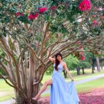 Sherin Instagram - Growing up isn’t for me. Glowing up is (How cringe is this caption on a scale from 1-10?) 🤣 #sherin #sometimesilikecringecaptions #thecringelife #glowup #growup #whyamiwearingaballgown #ballgown #fashion #lol #okbye River Falls Plantation Golf