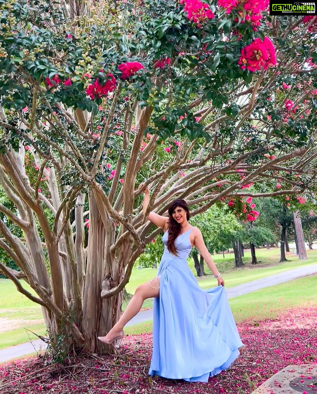 Sherin Instagram - Growing up isn’t for me. Glowing up is (How cringe is this caption on a scale from 1-10?) 🤣 #sherin #sometimesilikecringecaptions #thecringelife #glowup #growup #whyamiwearingaballgown #ballgown #fashion #lol #okbye River Falls Plantation Golf