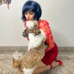 Sherin Instagram - The last pic has my heart ❤️ #sherin #reddress #single #fashion #dog #shihtzu #shihtzusofinstagram