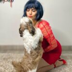 Sherin Instagram - The last pic has my heart ❤️ #sherin #reddress #single #fashion #dog #shihtzu #shihtzusofinstagram