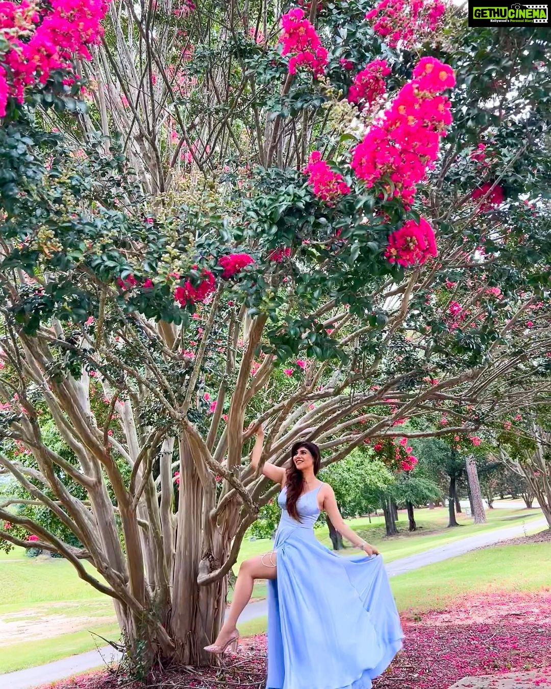 Sherin Instagram - Growing up isn’t for me. Glowing up is (How cringe is this caption on a scale from 1-10?) 🤣 #sherin #sometimesilikecringecaptions #thecringelife #glowup #growup #whyamiwearingaballgown #ballgown #fashion #lol #okbye River Falls Plantation Golf