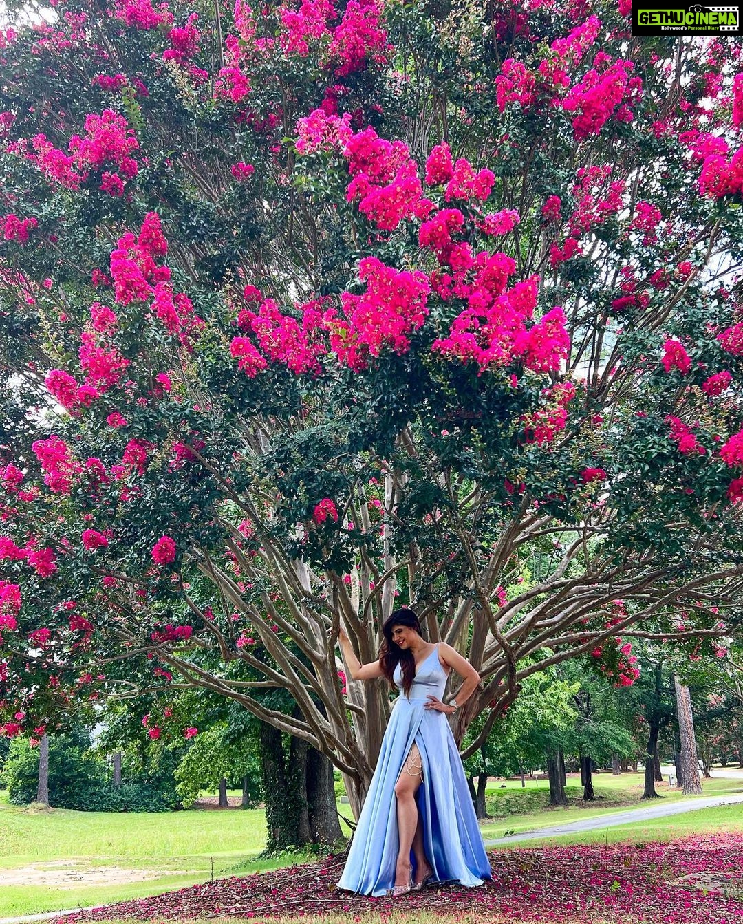 Sherin Instagram - Growing up isn’t for me. Glowing up is (How cringe is this caption on a scale from 1-10?) 🤣 #sherin #sometimesilikecringecaptions #thecringelife #glowup #growup #whyamiwearingaballgown #ballgown #fashion #lol #okbye River Falls Plantation Golf