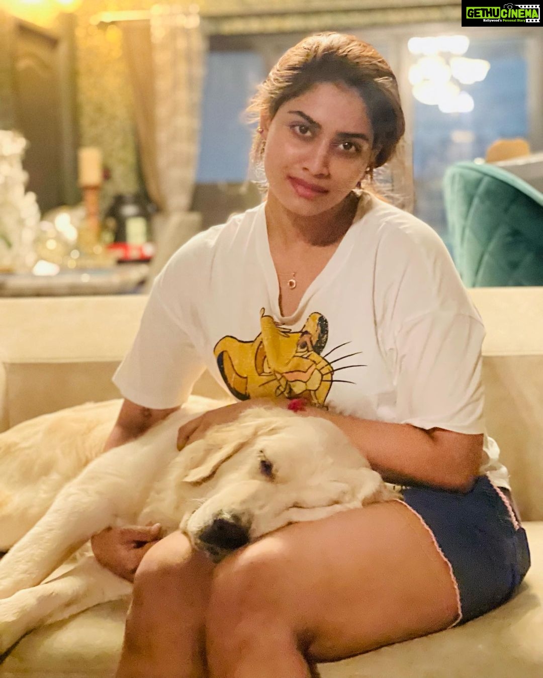 Shivani Narayanan Instagram - The week it was π€ Family and Home is everything π«Άπ» #blessed #diamond #platinum #vodka #snow #puppies #family