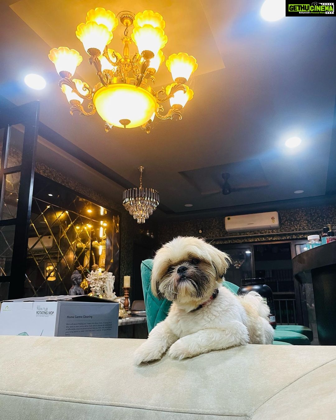 Shivani Narayanan Instagram - The week it was π€ Family and Home is everything π«Άπ» #blessed #diamond #platinum #vodka #snow #puppies #family