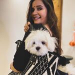 Shivshakti Sachdev Instagram - We are all set to go nowhere. Thank you for all the amazing countdowns and so much loveeeee! My heart js sooo full !! Just want one thing for my birthday, we all come out of it healthy and safe. #thankful #grateful #blessed #blessing #mine #yay #tiny #maltesesleeping #dogsofinstagram #doglovers #dogsofinsta #maltese #miniaturemaltese #thankyou #grateful #blessed #malteseloverclub #malteselover #malteselove #malteseworld #malteseoftheday #maltesebaby #maltesebabygirl #maltesereel #dogreel #reelsofinstagram #feelitreelit #maltesereel #dogsofinstagram