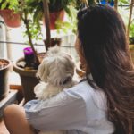 Shivshakti Sachdev Instagram - my kinda SUNDAY mornings !! @ielliethemaltese You all know I love pampering myself on Sundays, So I uploaded a new video how you can do that all by yourself at home, go check it out !! Aaj kya kha rahe ho ? #sunday #love #life #thankful #grateful #blessed #sundayfunday #elliethemaltese #mine #love #sundaymornings #plants #planting #like #share #indianyoutuber #youtubeindia #yay
